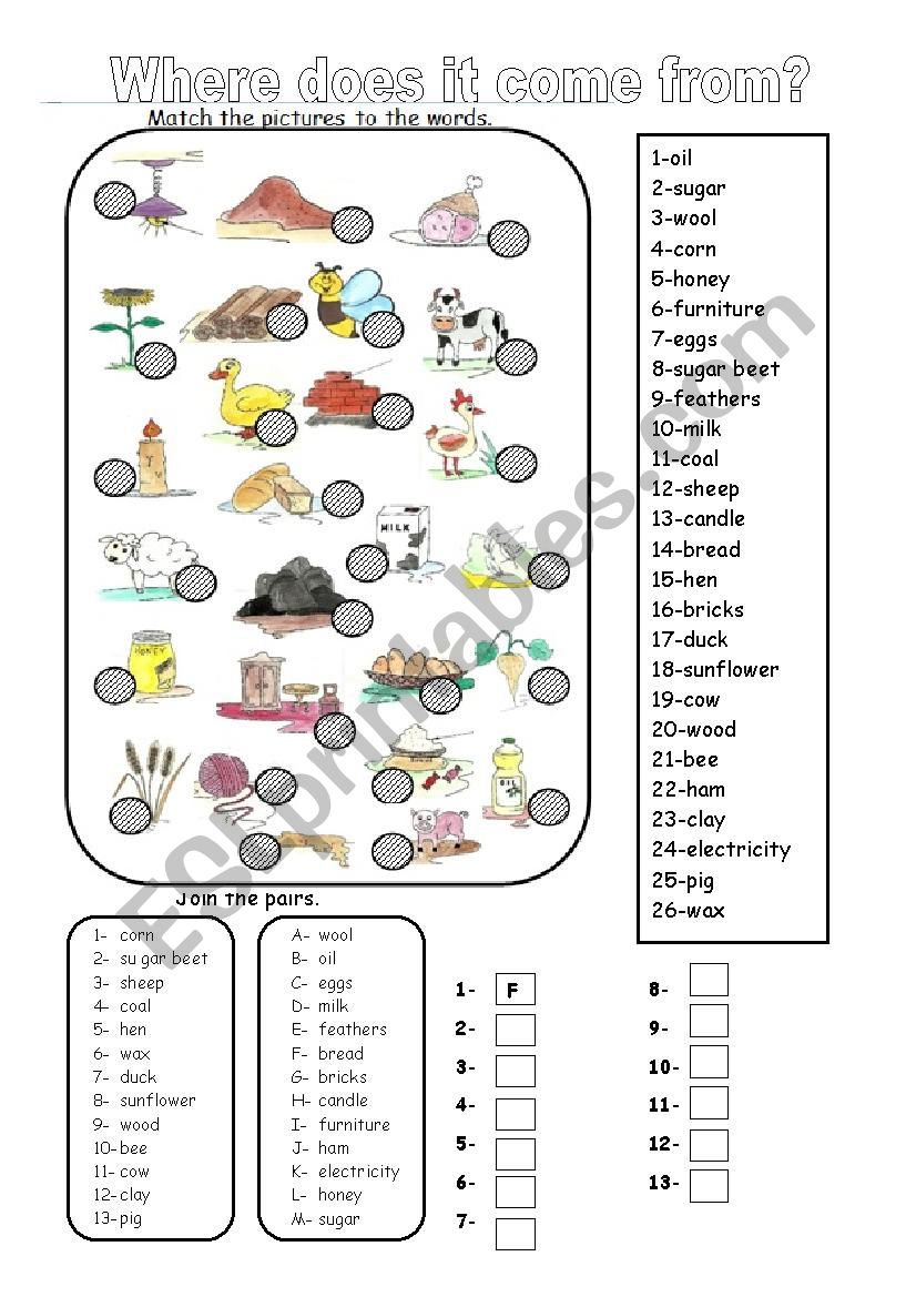 Where Does It Come From? worksheet