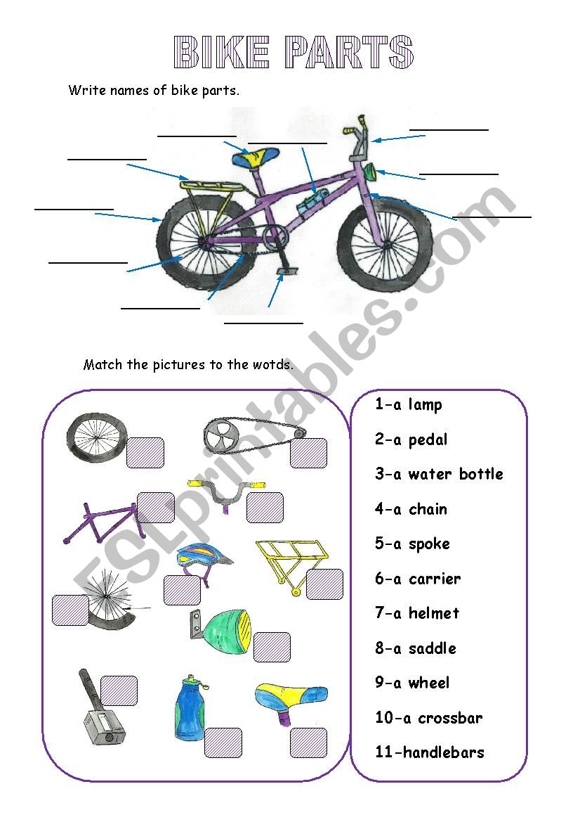 BIKE PARTS worksheet