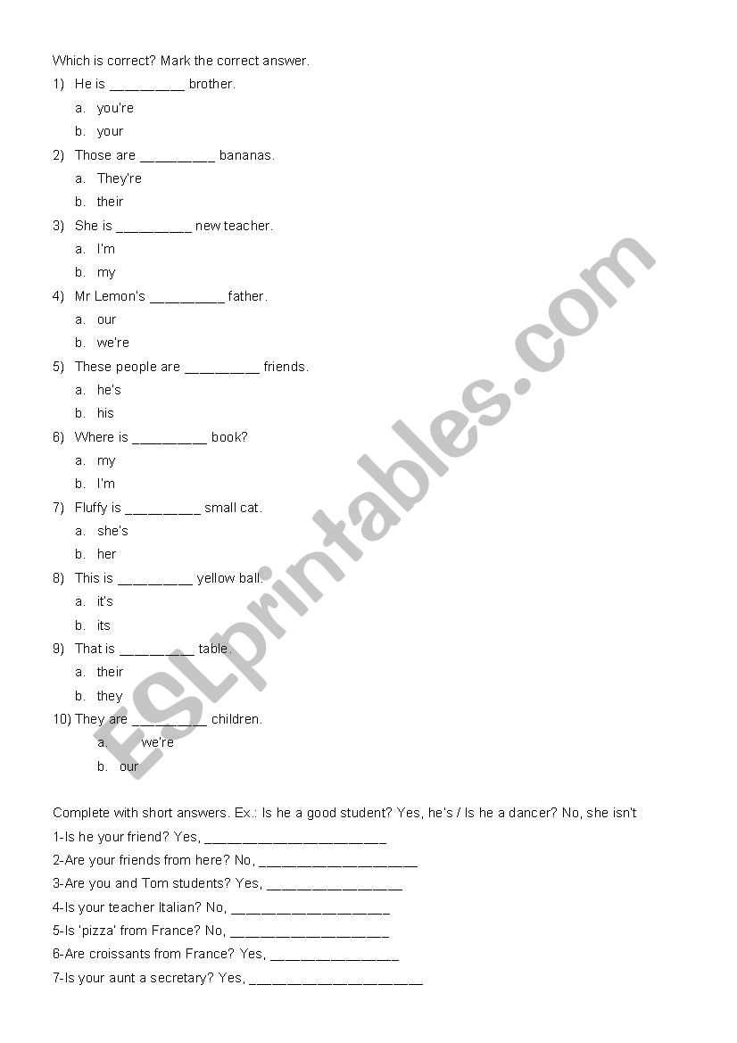 Verb to be x possessives worksheet