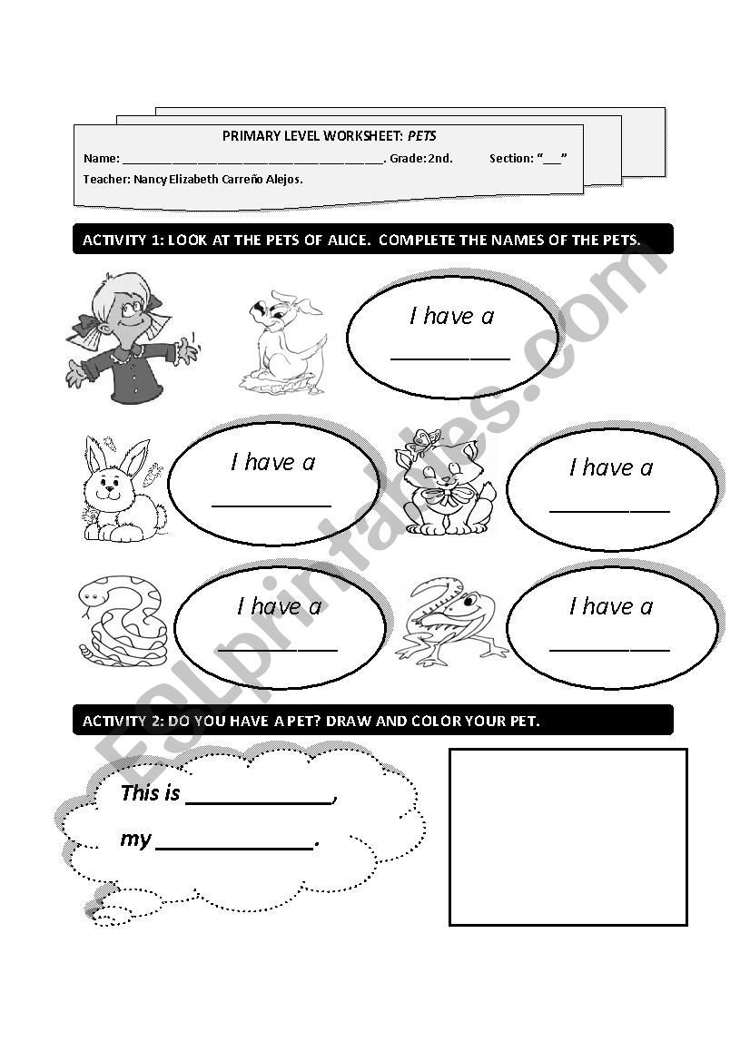 WORKSHEET PETS worksheet