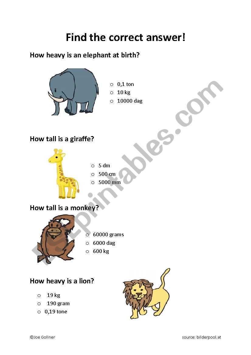 Find the correct answer worksheet