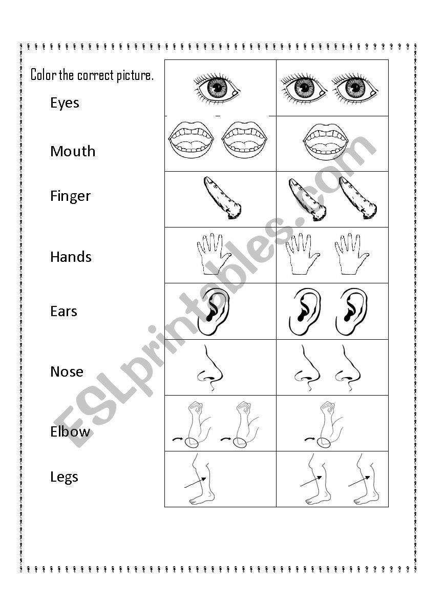 Singular or Plural worksheet