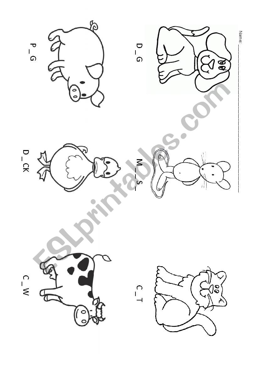 ANIMAL worksheet