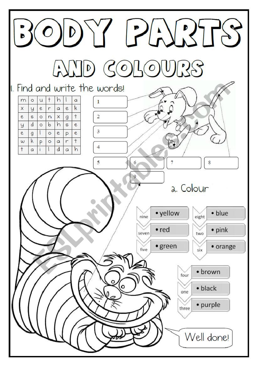 Expanding vocabulary - BODY worksheet