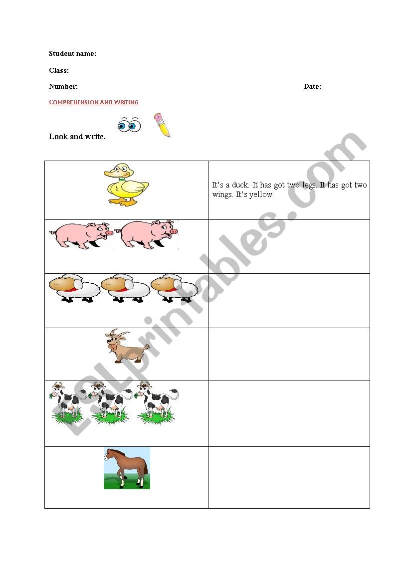 animals worksheet