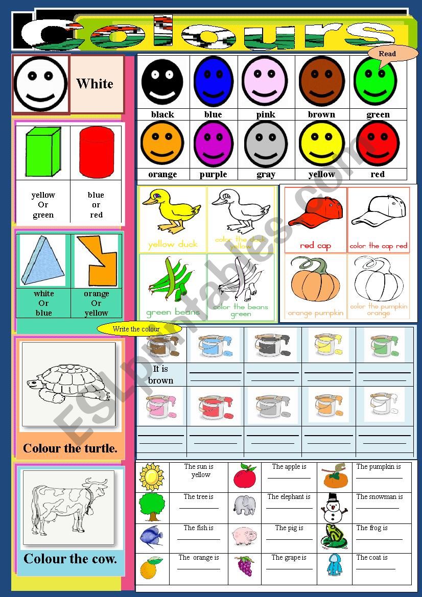 colours worksheet