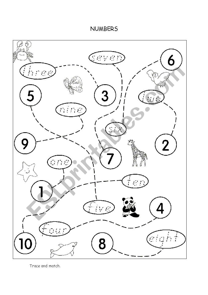 THE NUMBERS worksheet