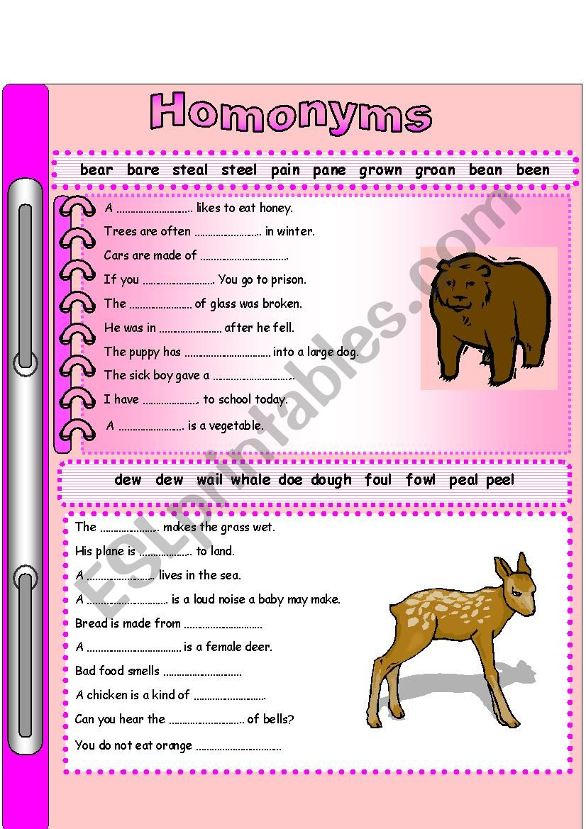 Homonyms 1 worksheet