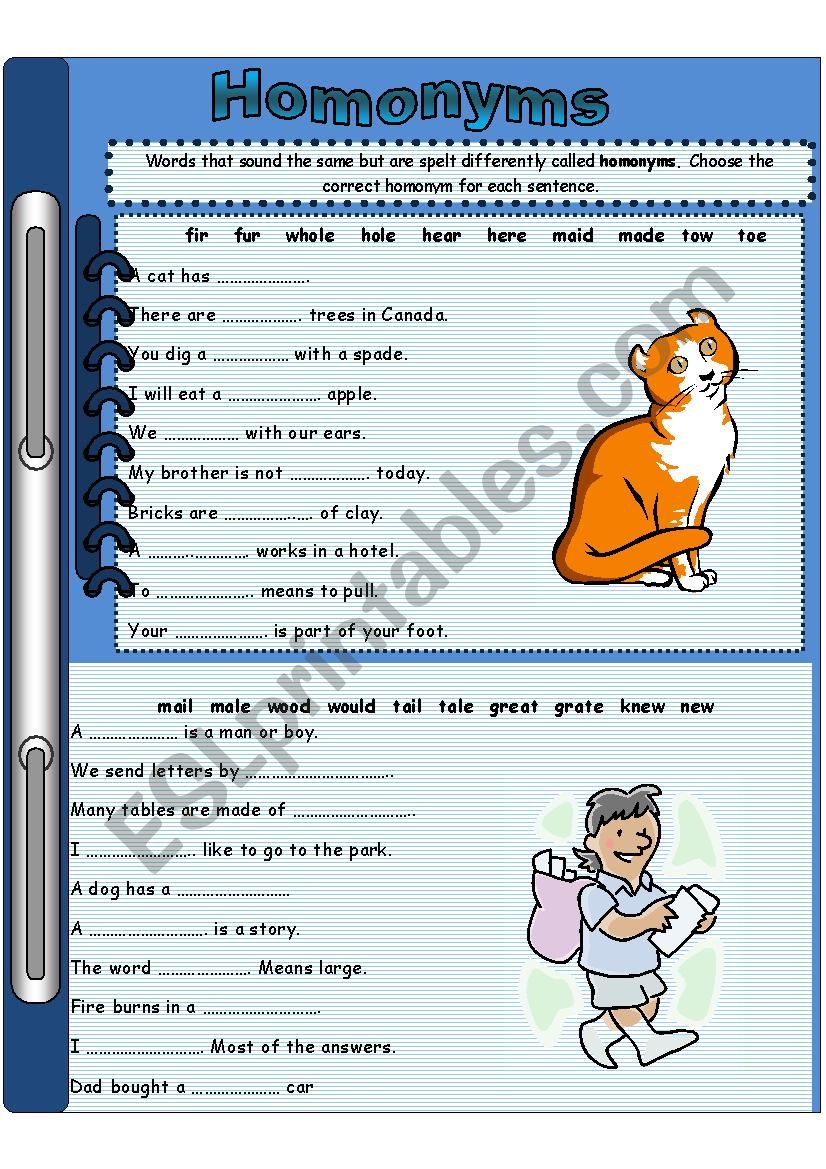 Homonyms 2 worksheet