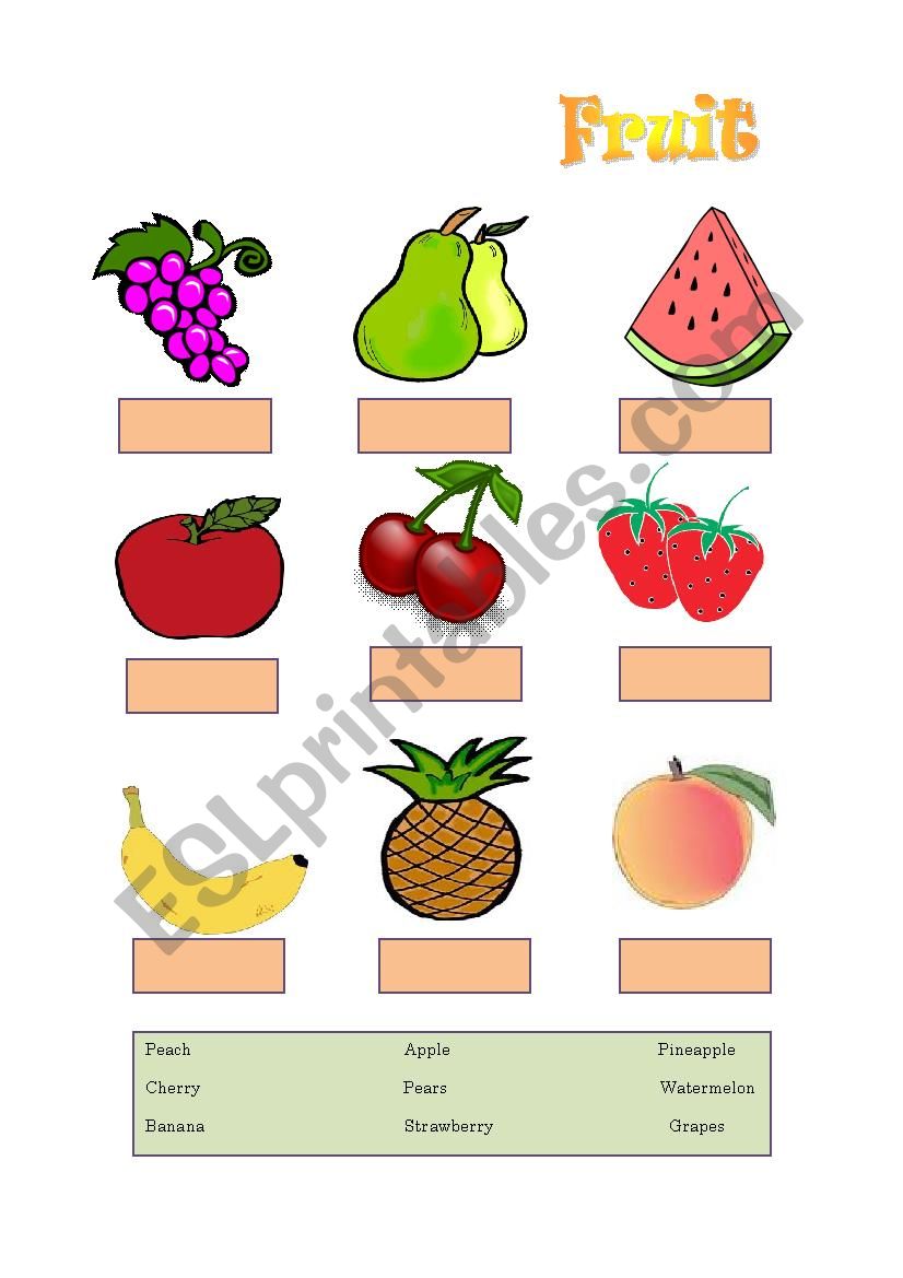 fruit worksheet