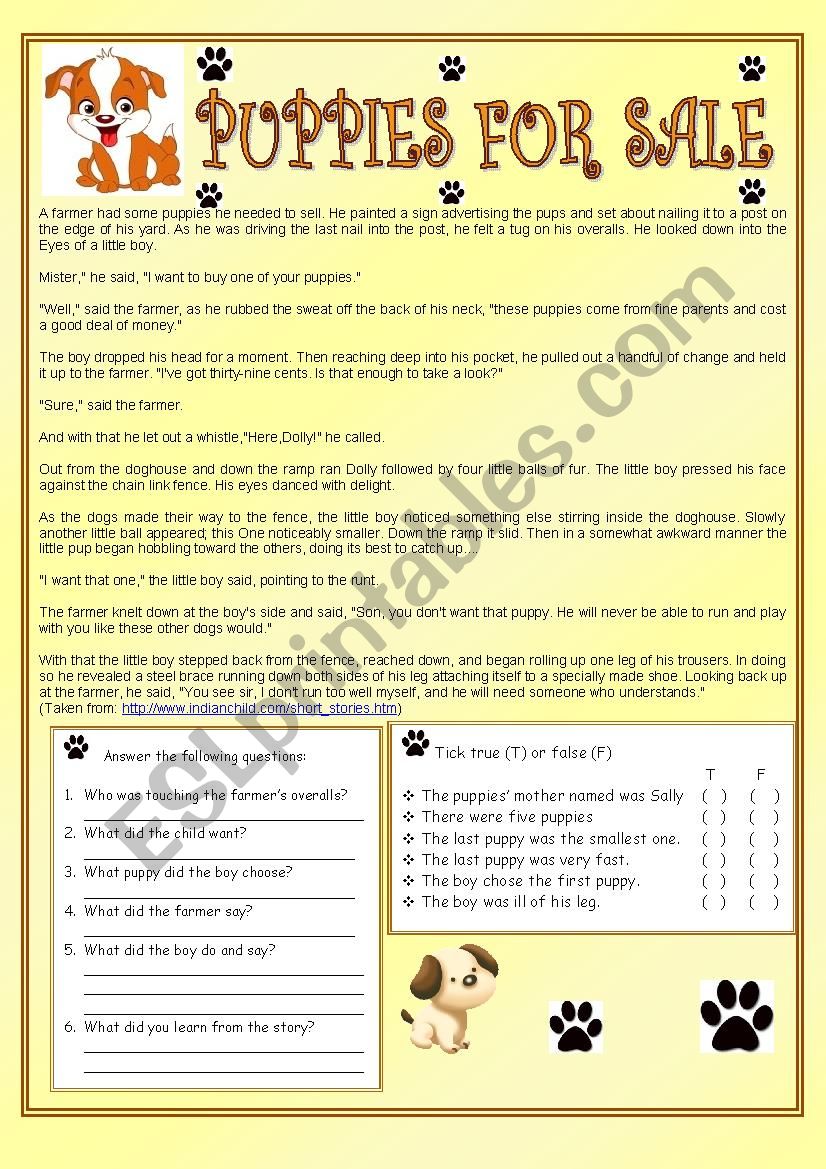 PUPPIES FOR SALE  worksheet
