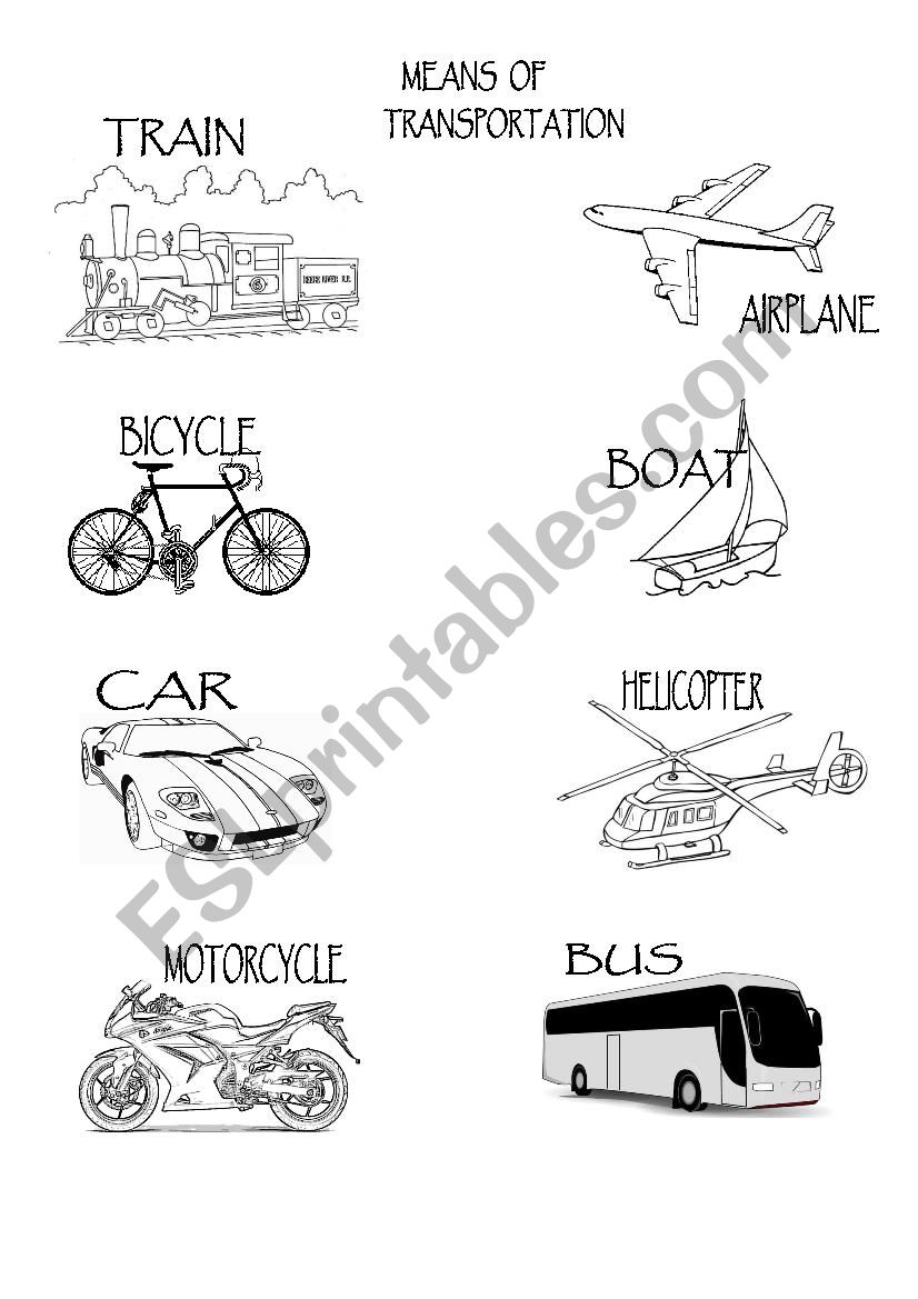 TranspoRtation worksheet