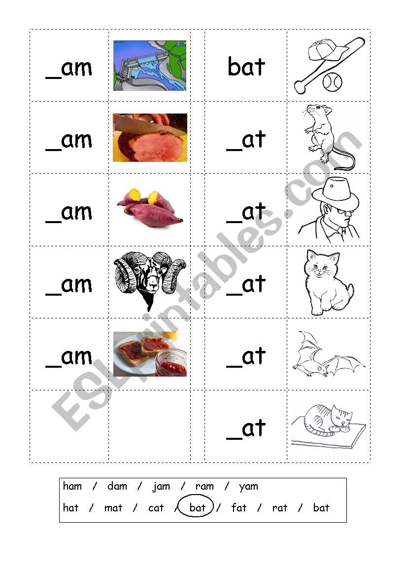 phonics 3 letter words cvc writing am at esl