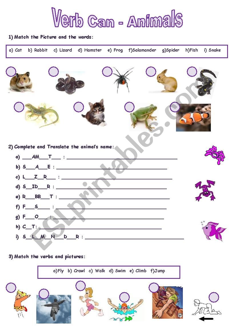 Verb Can - Animals worksheet