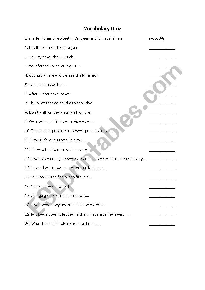 Vocabulary Quiz  worksheet