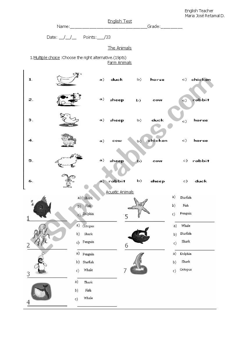 animal test worksheet