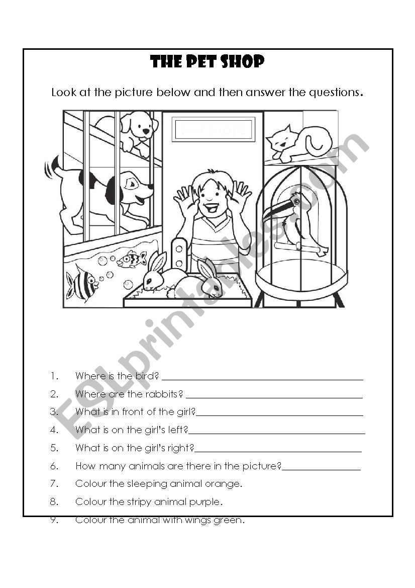 The Pet Shop worksheet