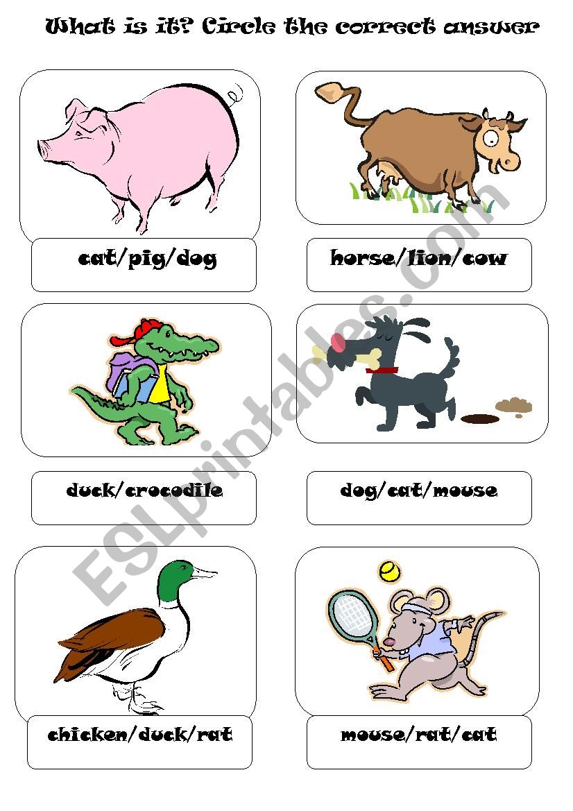 ANIMALS worksheet