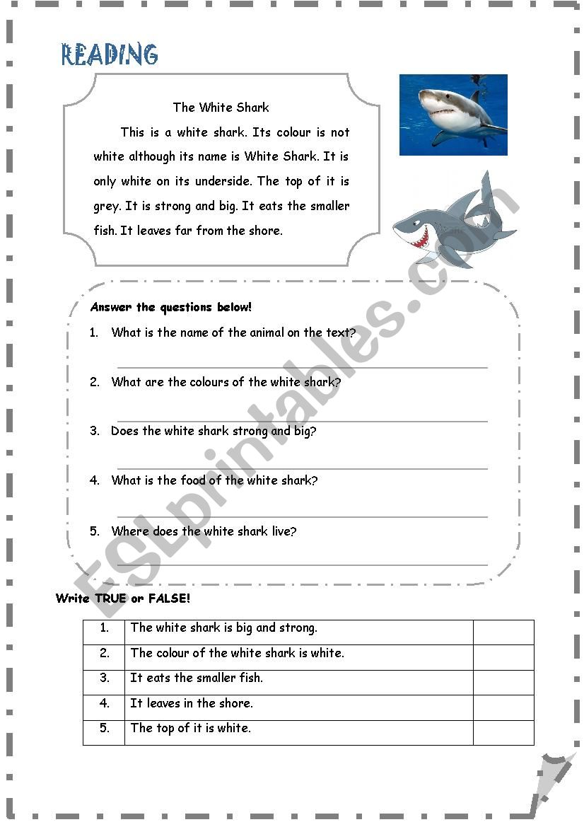 The White Shark worksheet