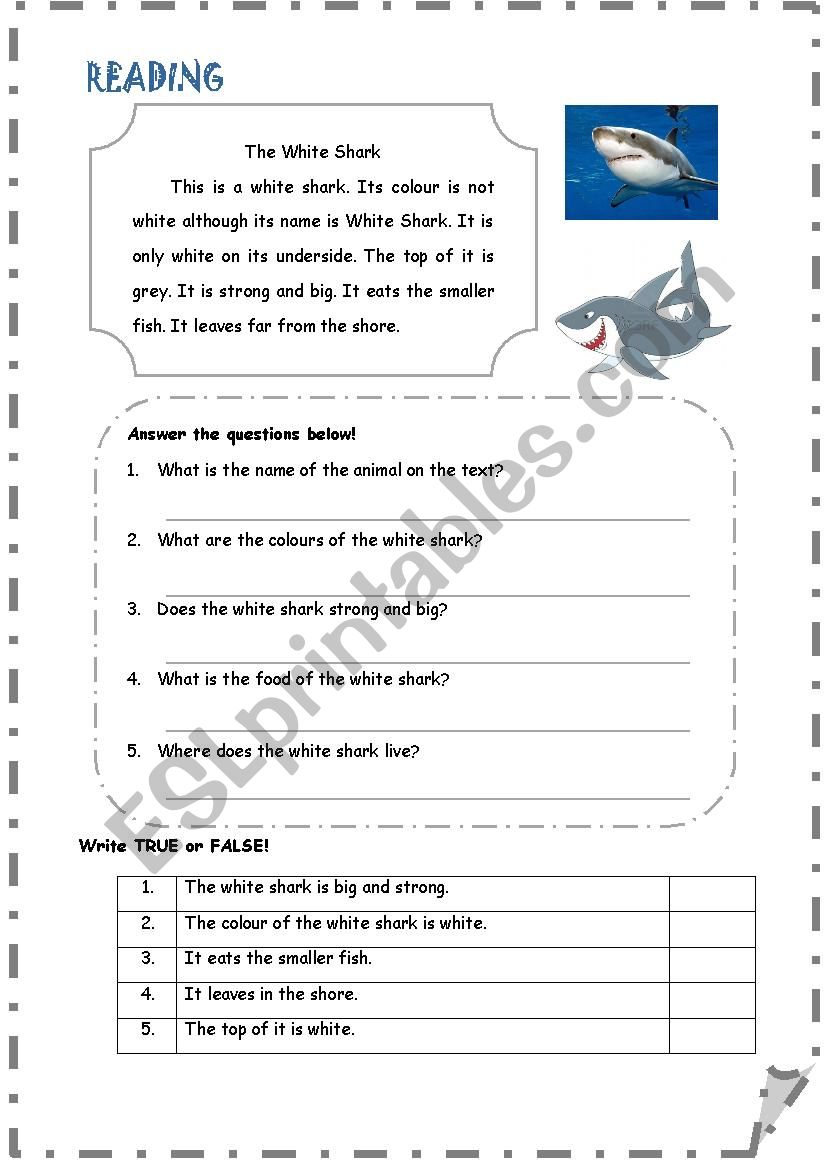 The White Shark worksheet