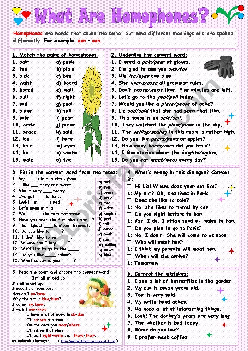 What are Homophones? worksheet