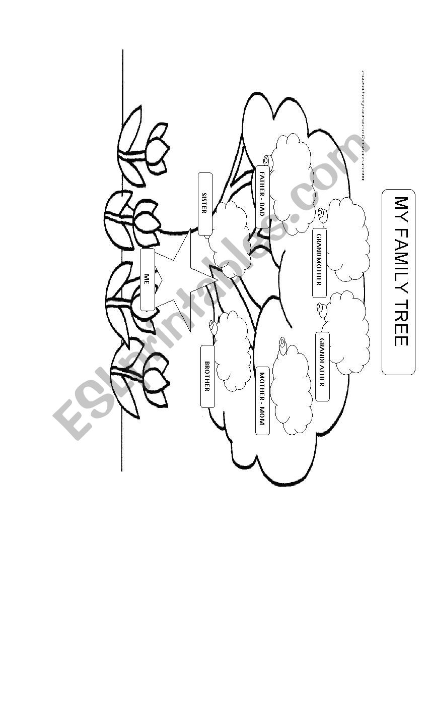 MY FAMILY TREE worksheet