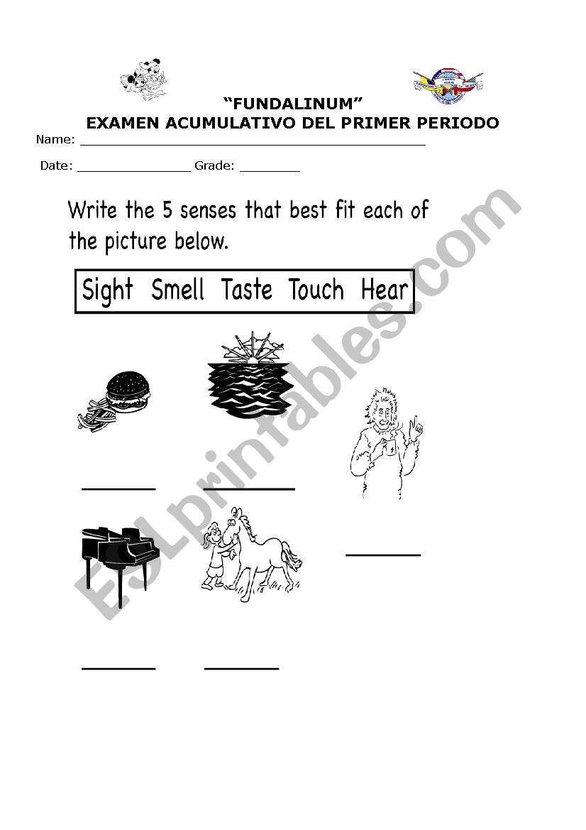 exam about Senses worksheet