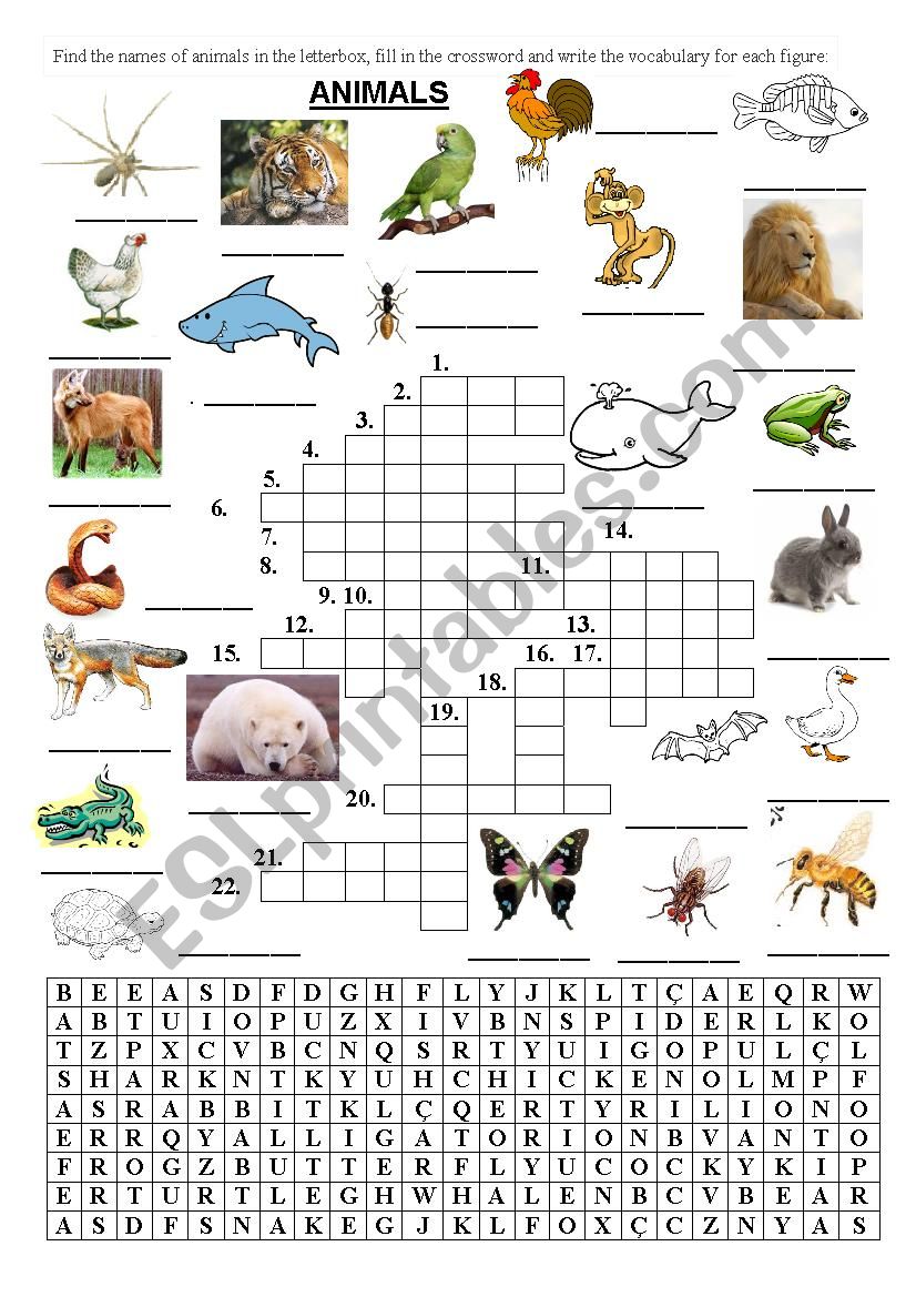 animals - crossword and letterbox