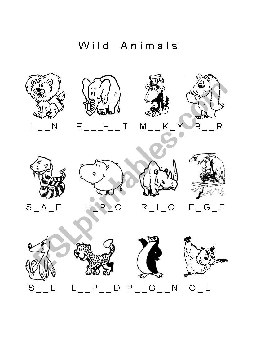 Wild Animals worksheet