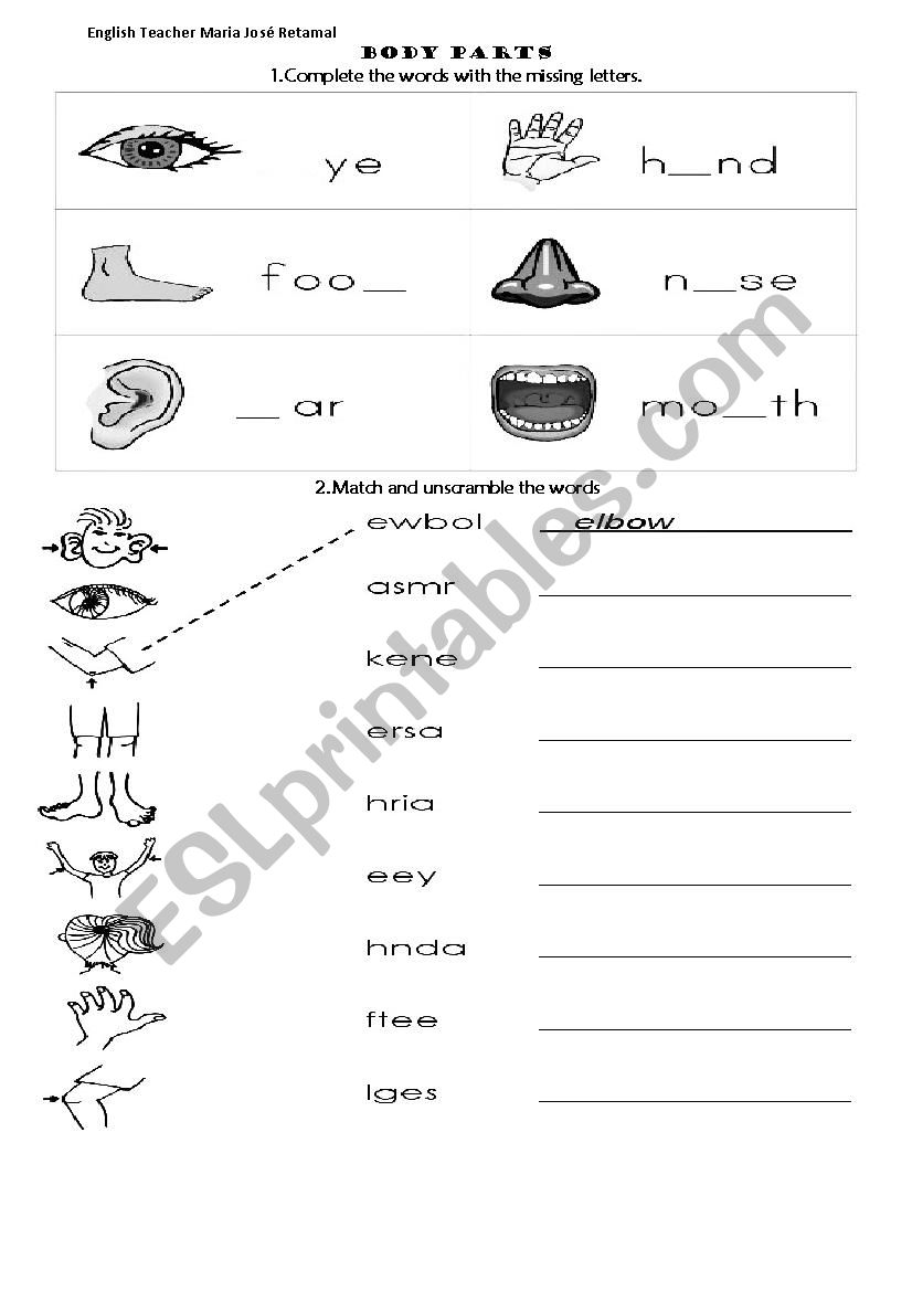 Body parts worksheet