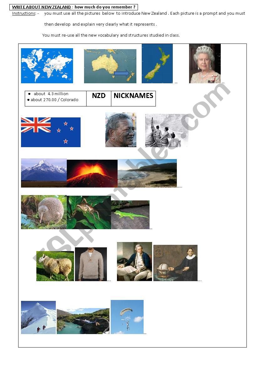 NEW ZEALAND / CULTURE  worksheet