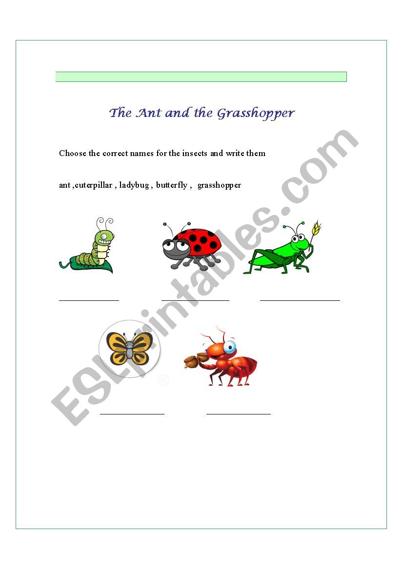 The Ant and the Grasshopper video activity