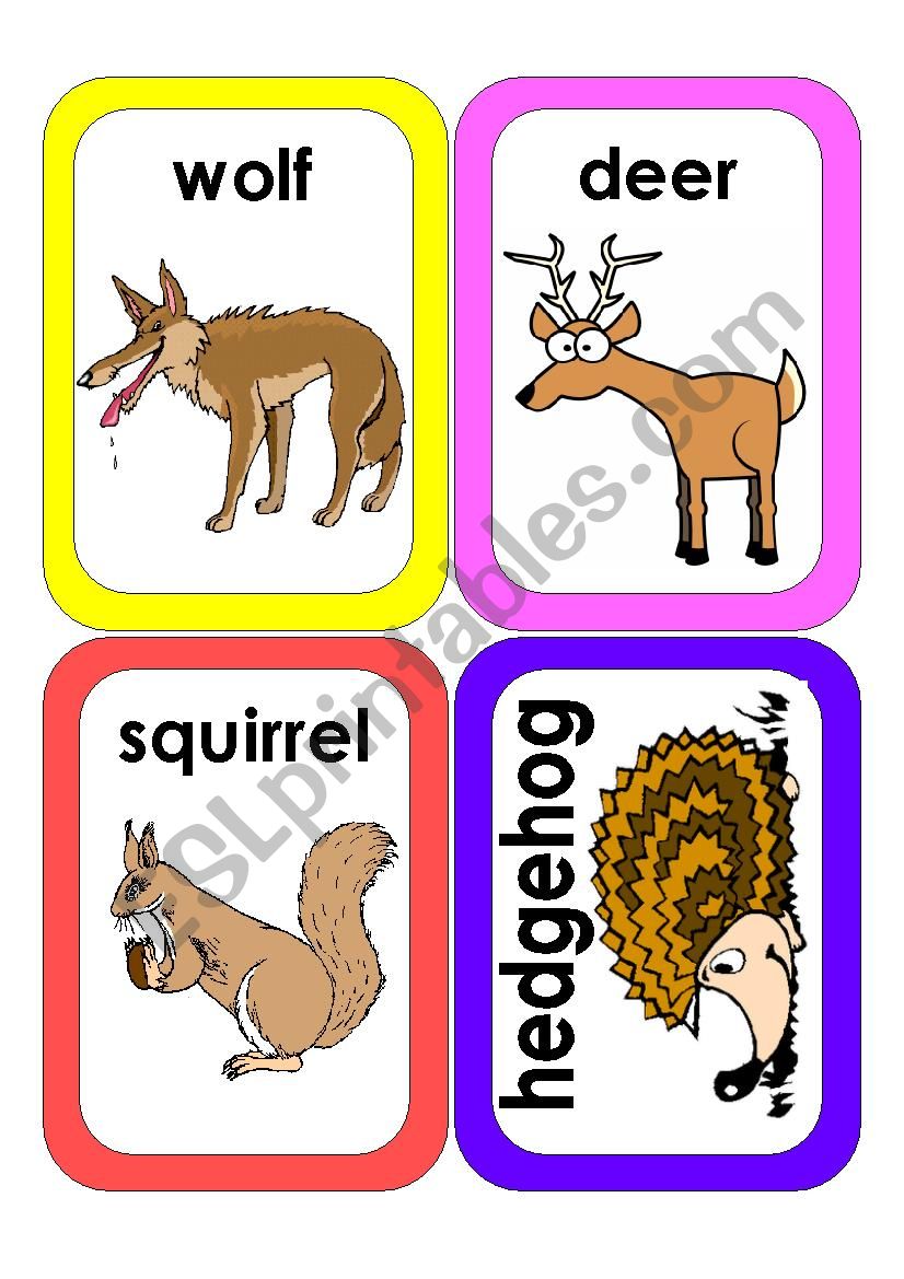 Wild Animals Flash Cards #4 worksheet