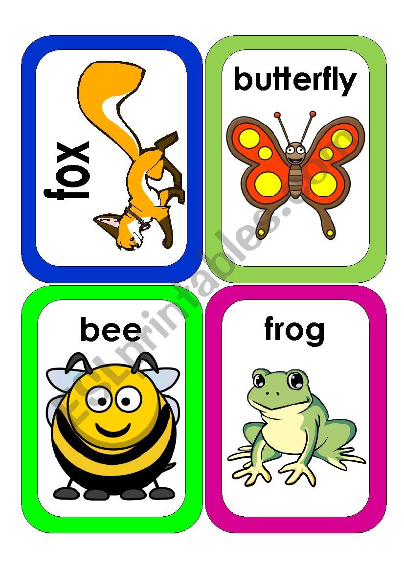 Wild Animals Flash Cards #5 worksheet