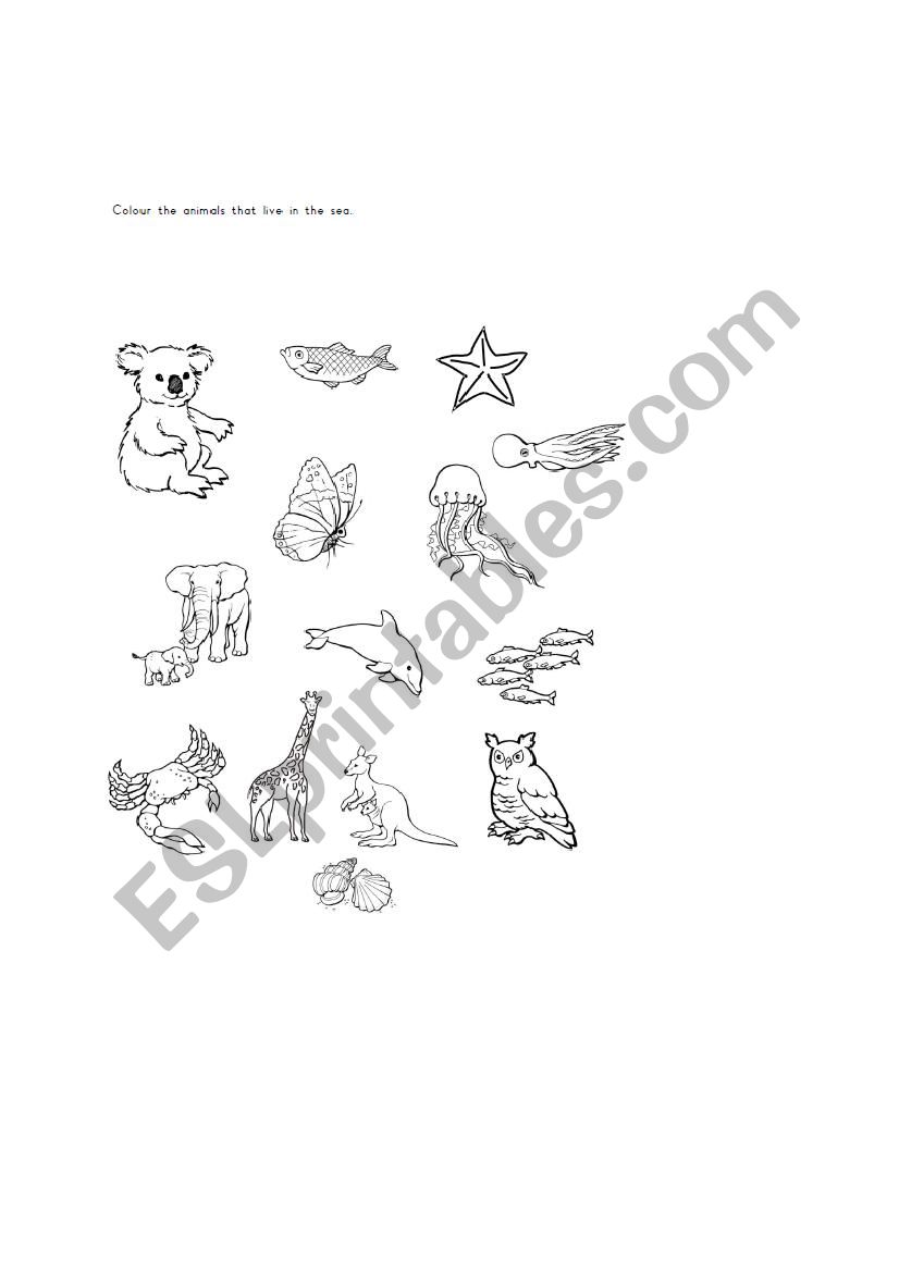 sea animals worksheet