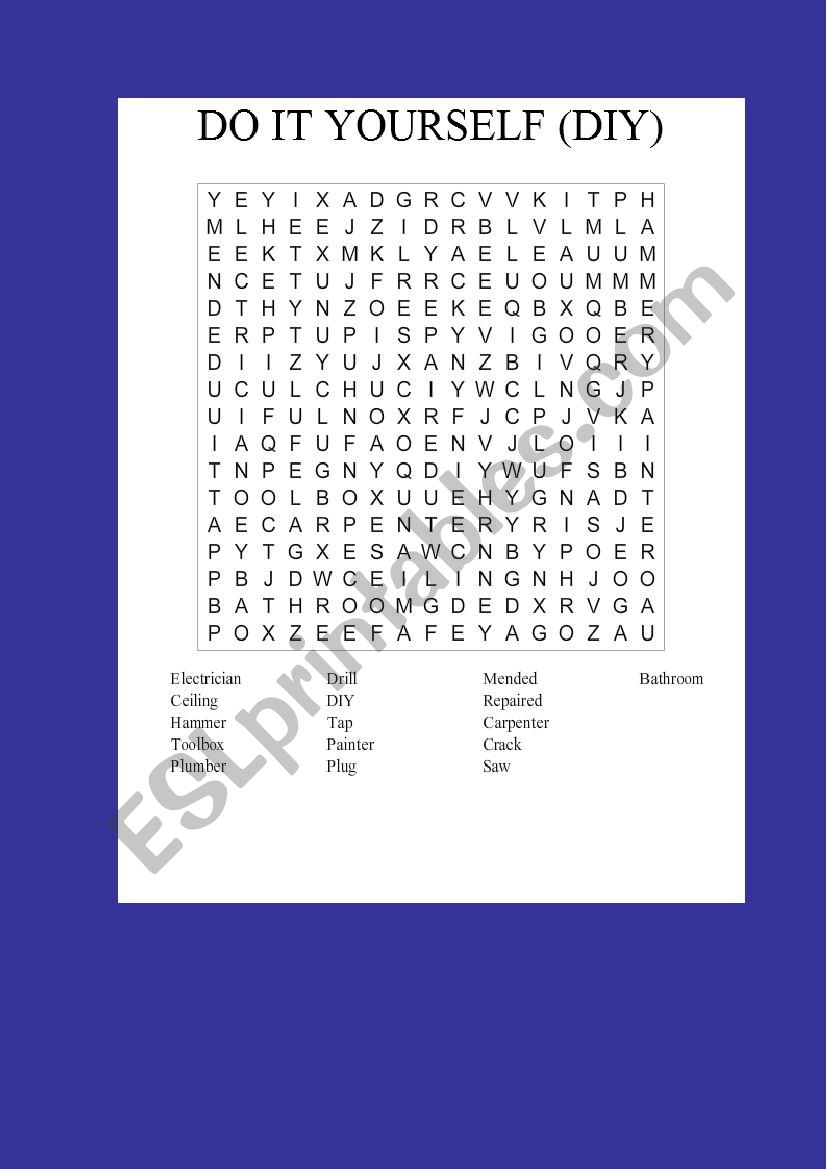 DO IT YOURSELF (DIY) worksheet