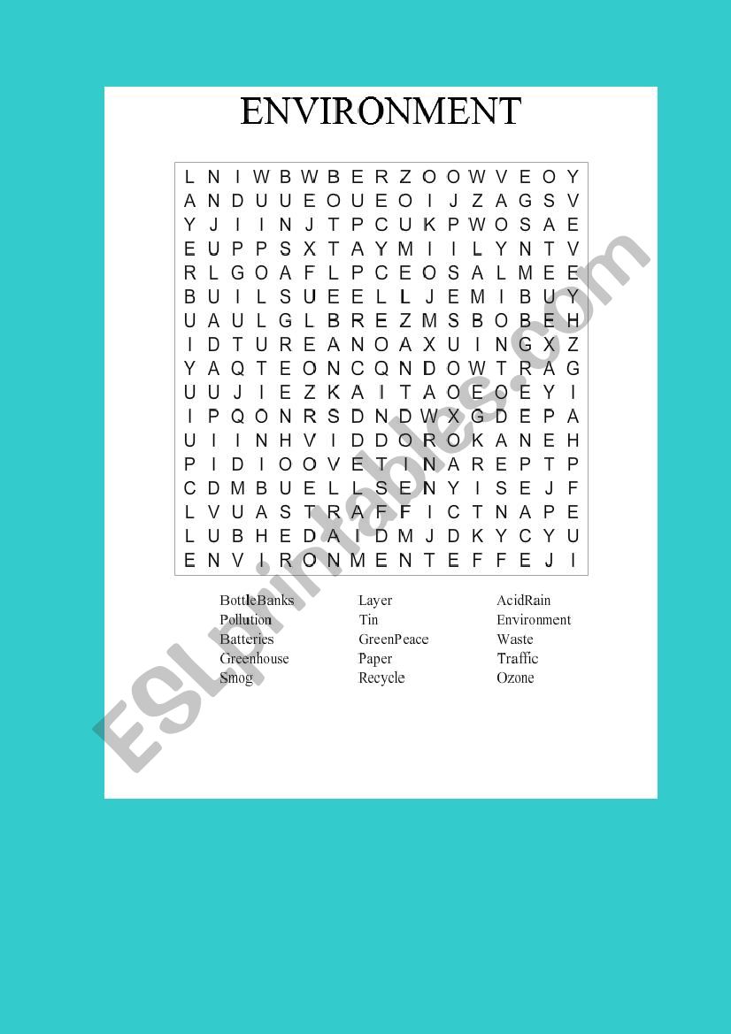 Environment worksheet