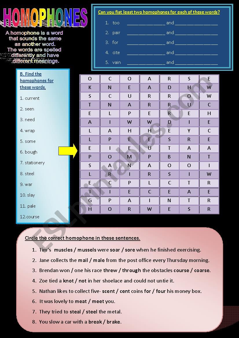 Homophones worksheet