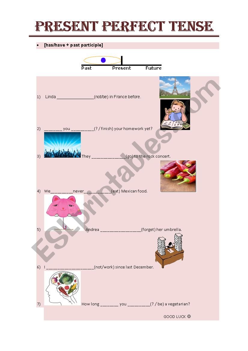 present perfect tense worksheet