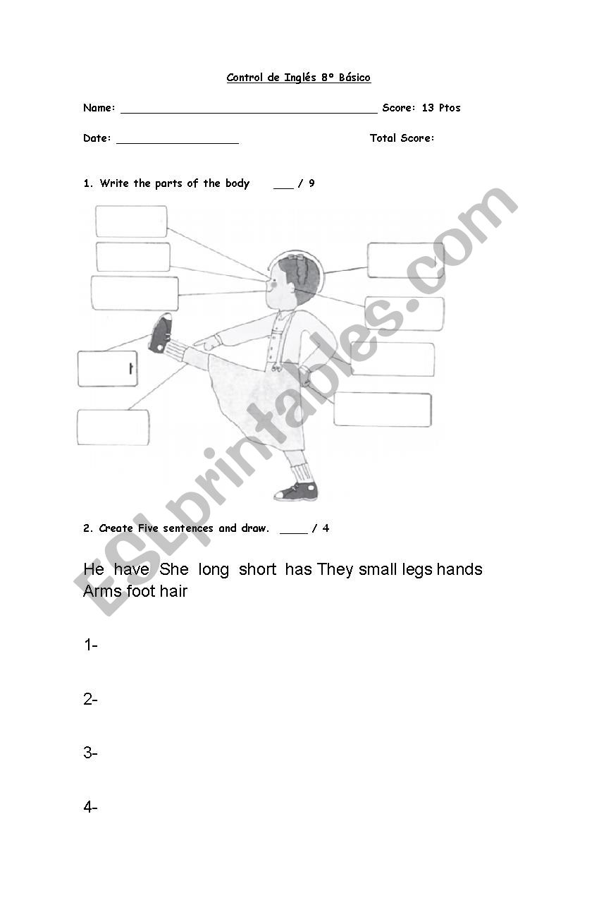 Parts of the body  worksheet
