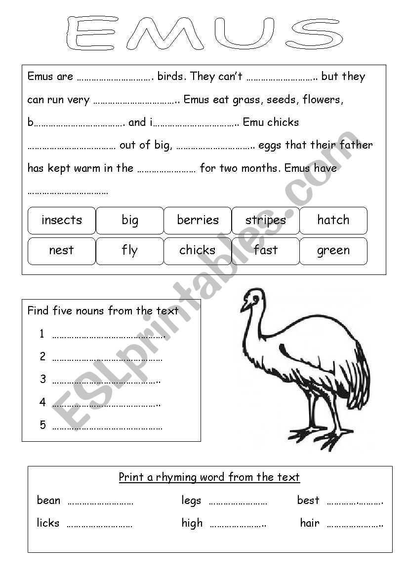 Working with words worksheet