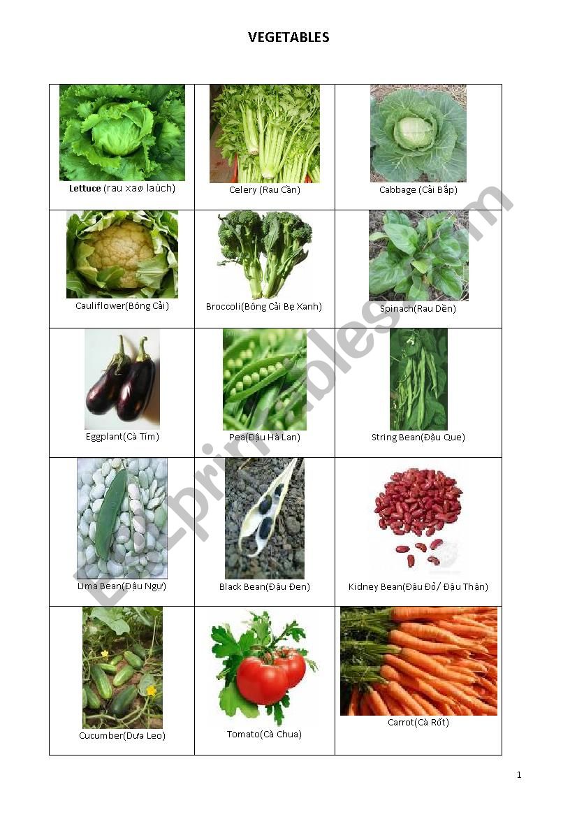 VEGETABLES worksheet