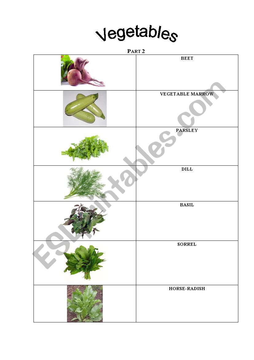 vegetable worksheet