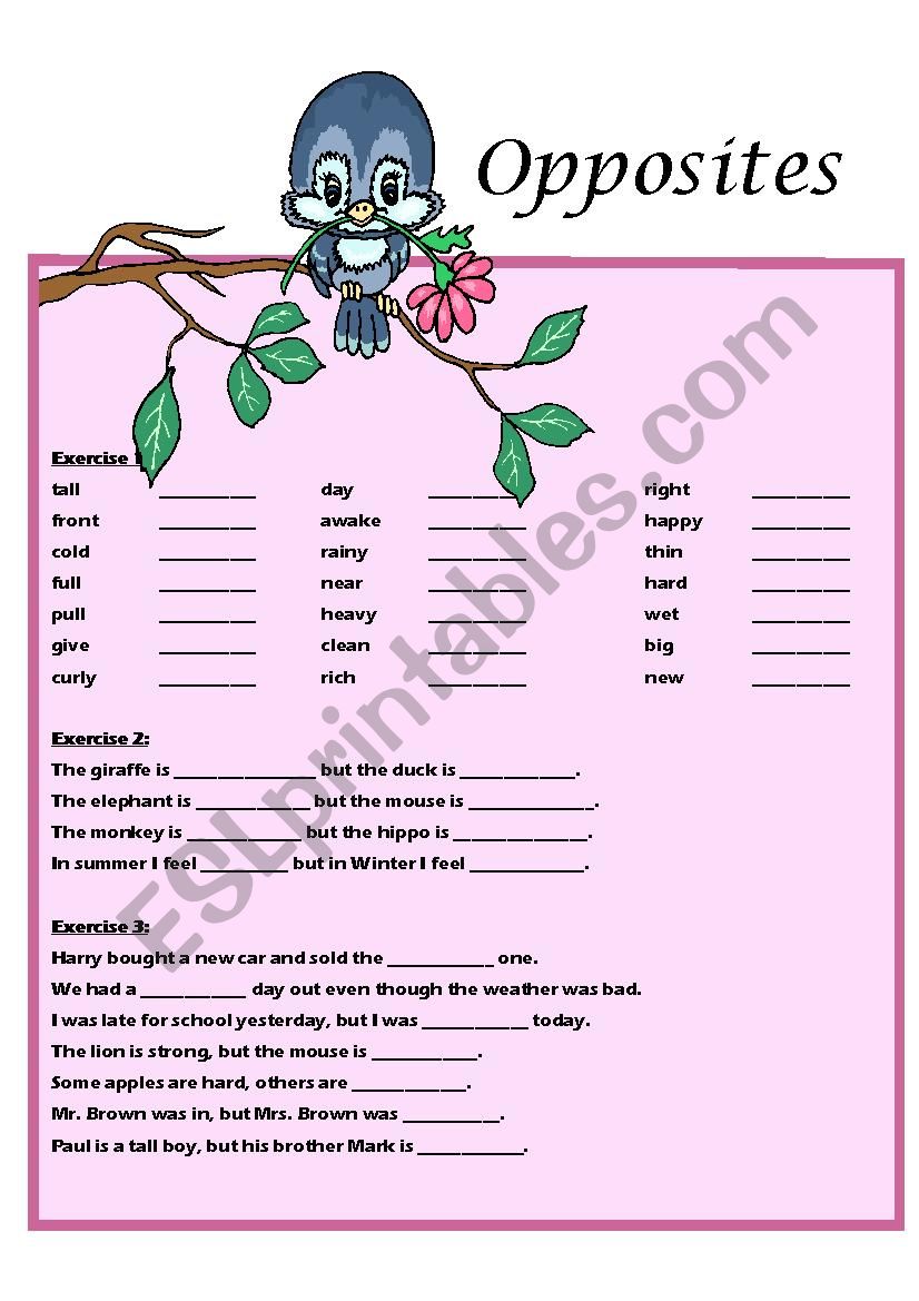 Opposites worksheet worksheet