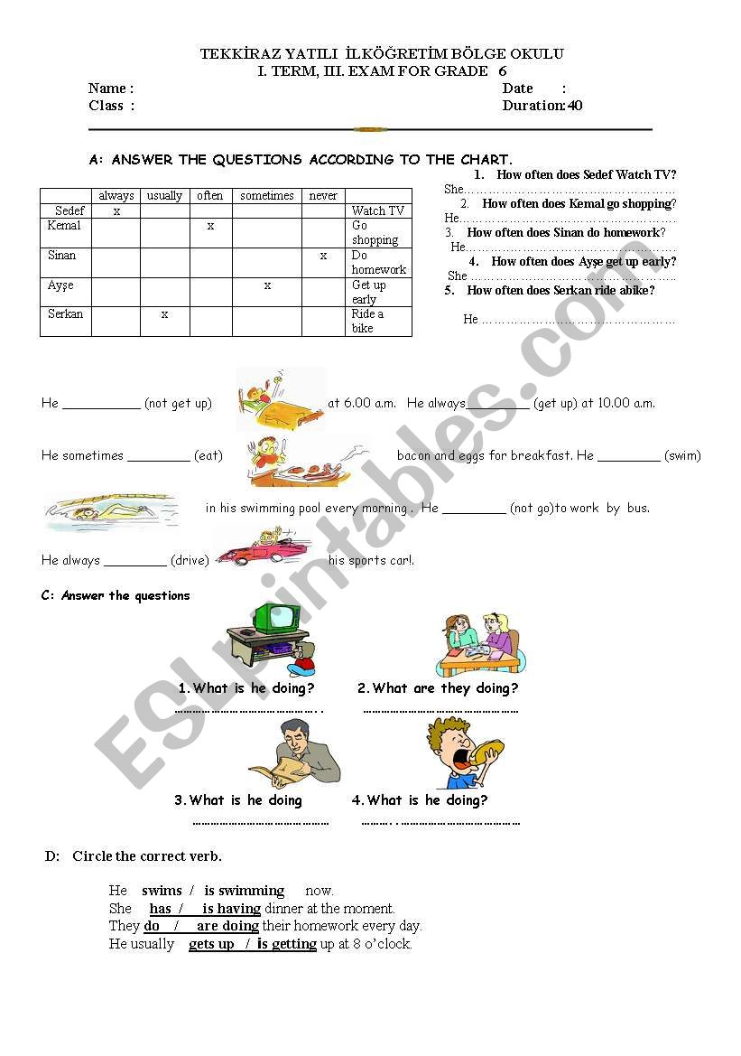 exam paper worksheet