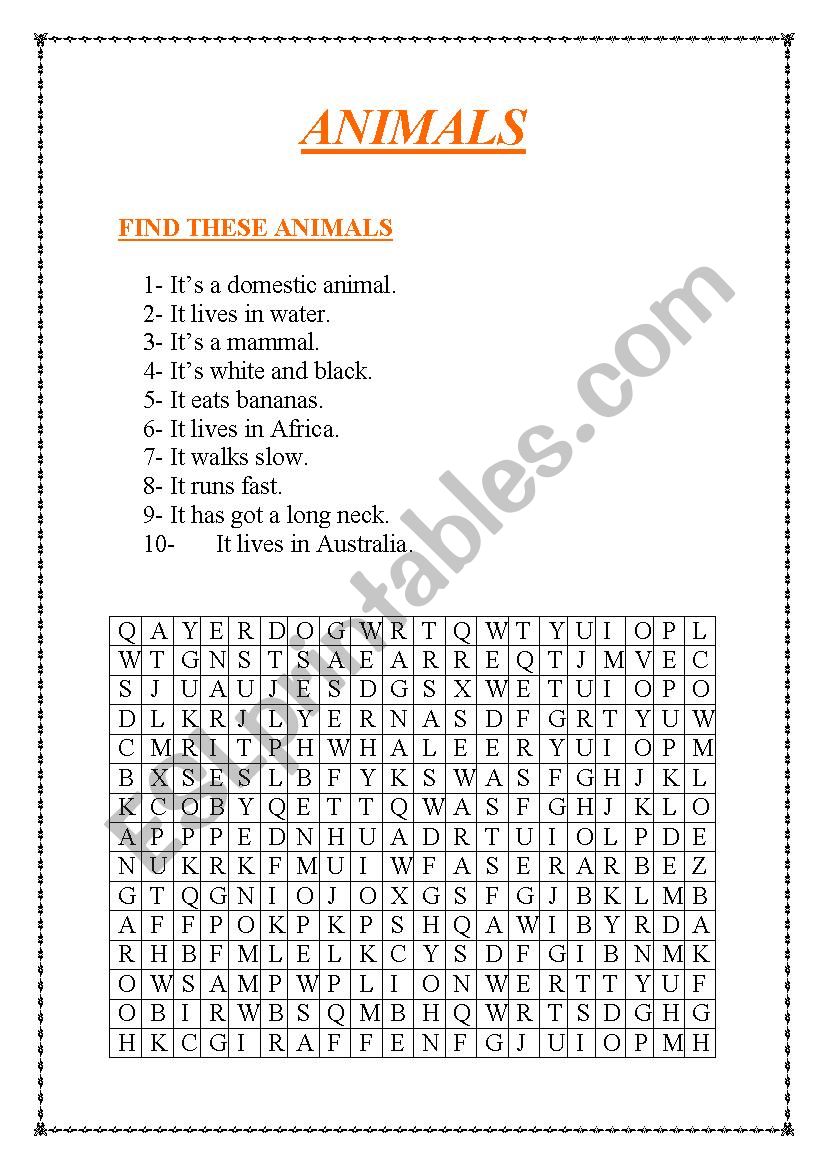 Animals worksheet