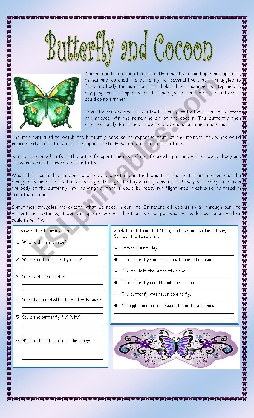 THE BUTTERFLY AND COCOON worksheet