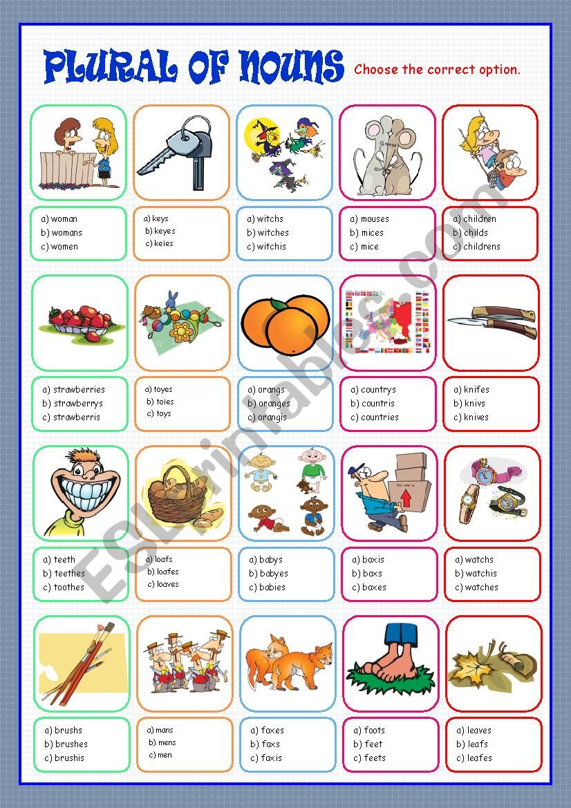 Plural of Nouns worksheet