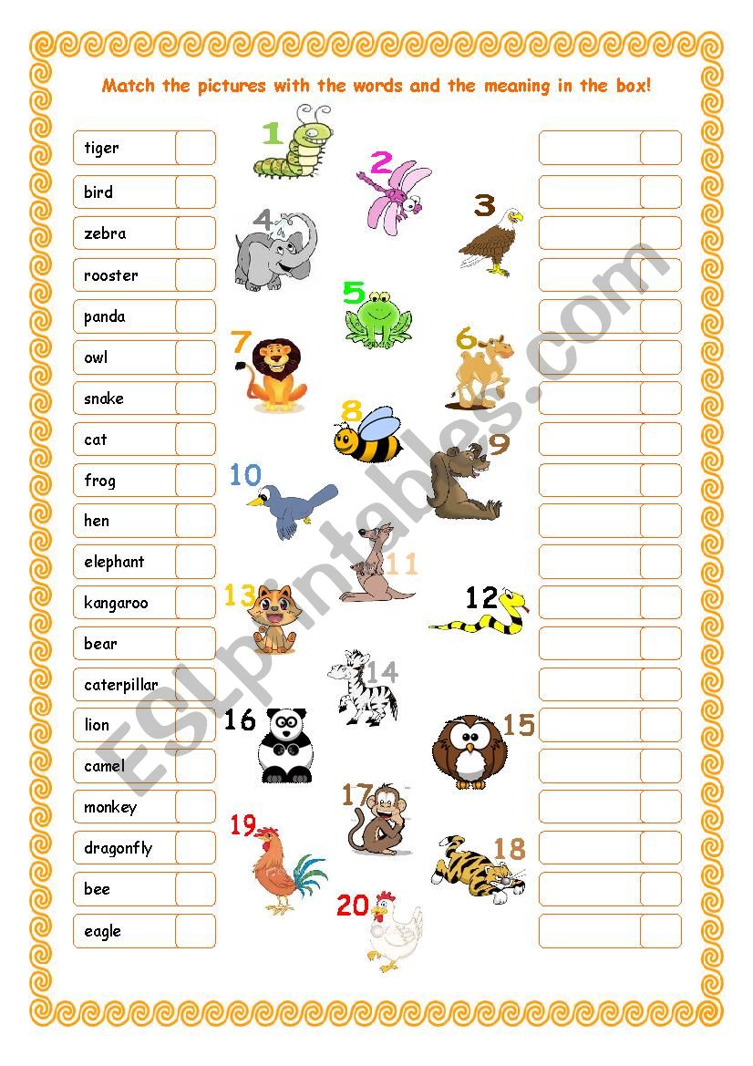 Animals worksheet