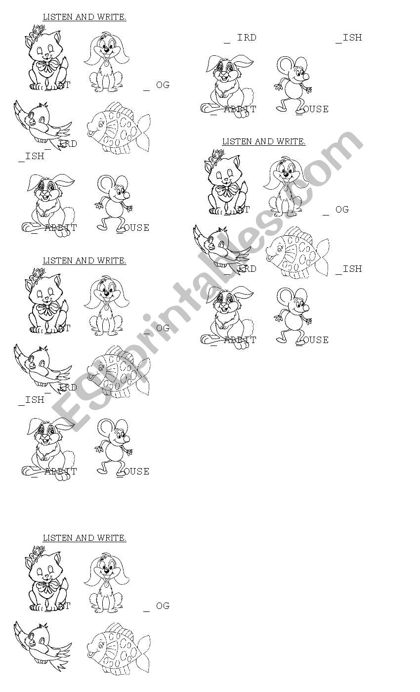 Animals worksheet